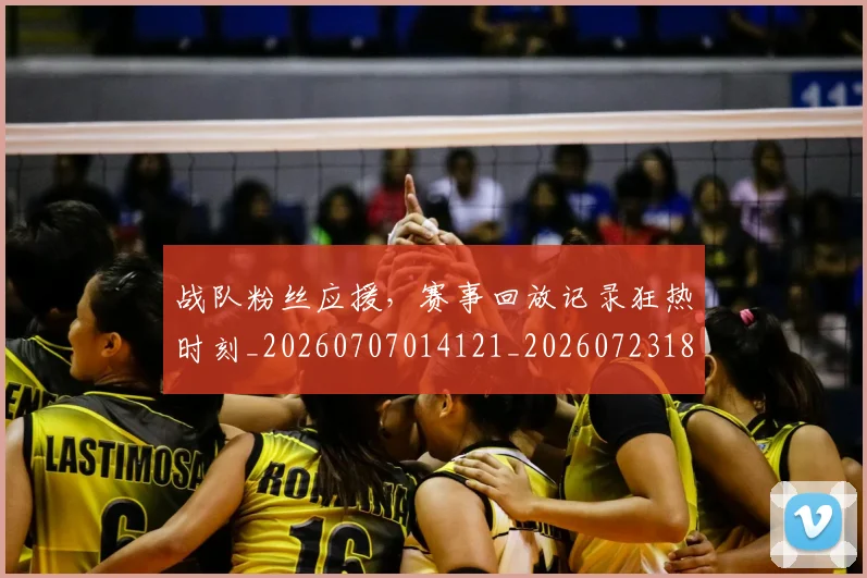 战队粉丝应援，赛事回放记录狂热时刻_20260707014121_20260723182034