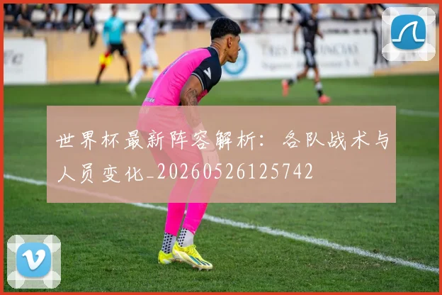 世界杯最新阵容解析：各队战术与人员变化_20260526125742
