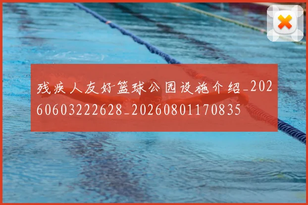 残疾人友好篮球公园设施介绍_20260603222628_20260801170835