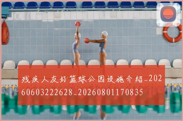 残疾人友好篮球公园设施介绍_20260603222628_20260801170835