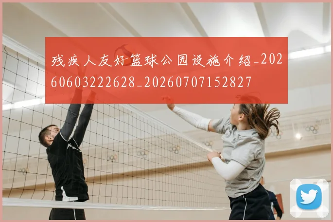 残疾人友好篮球公园设施介绍_20260603222628_20260707152827